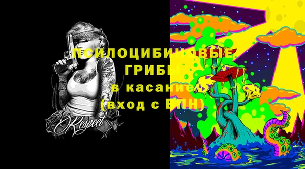 spice Володарск